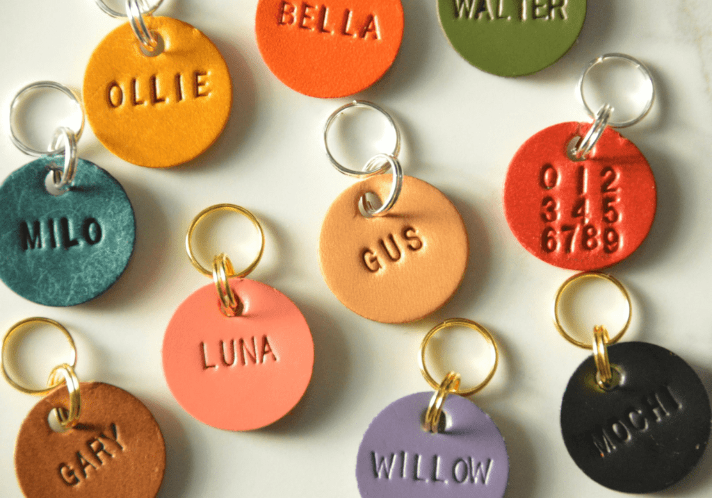 Cute Pet Accessories 4 - Cats & Coffee Cute Pet Accessories