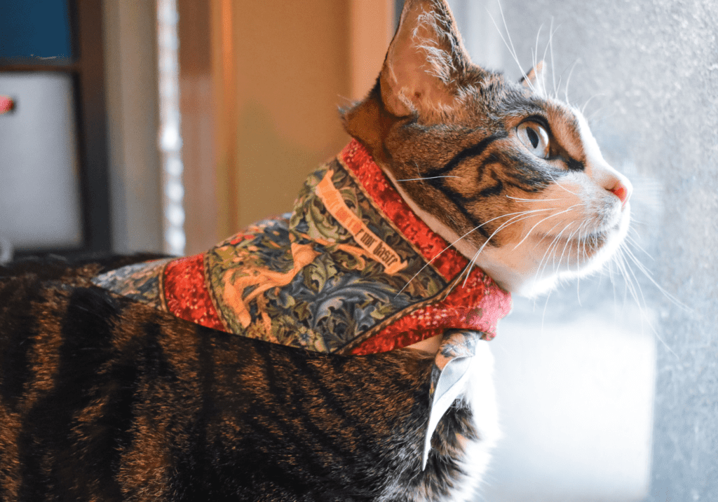 Redbubble Pet Supplies CP1 - Cats & Coffee Redbubble Pet Bandana - Louis wears the Green Floral Tapestry Pet Bandana from Redbubble Pet