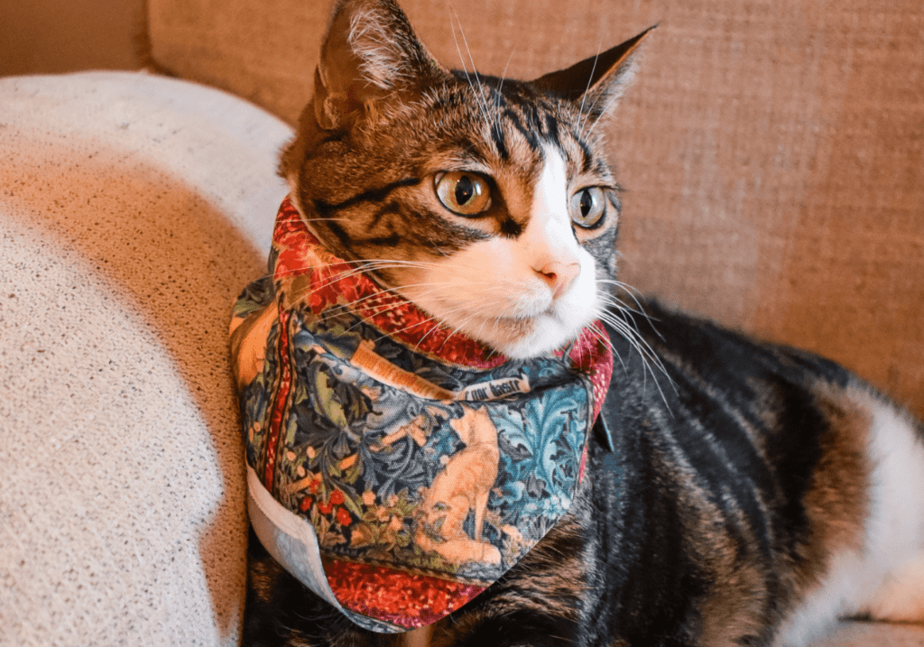 Redbubble Pet Supplies CP4 - Cats & Coffee Louis wears the Green Floral Tapestry Pet Bandana from Redbubble Pet