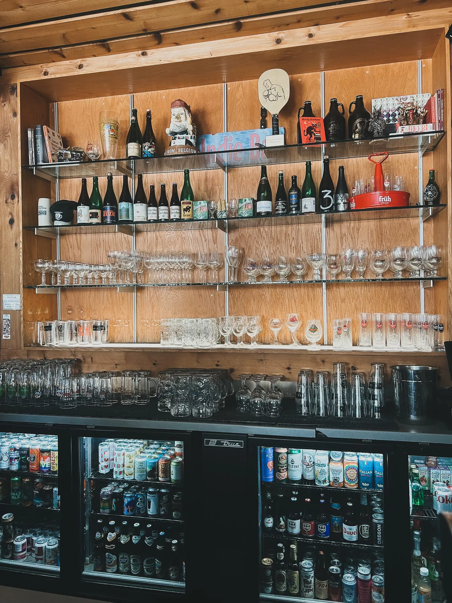 The Independent Seminole Heights2 - Cats & Coffee The Independent Seminole Heights