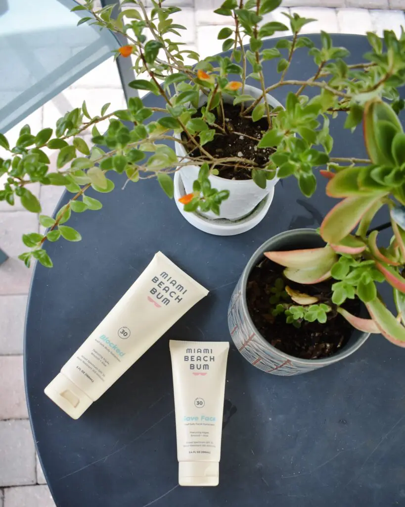 Miami Beach Bum Sunscreen11-min - Cats & Coffee Miami Beach Bum Sunscreens