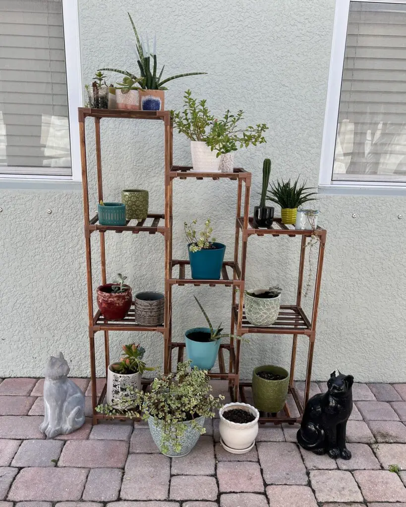 Best Amazon Purchases for the New House 6 - Cats & Coffee Wood Plant Stand