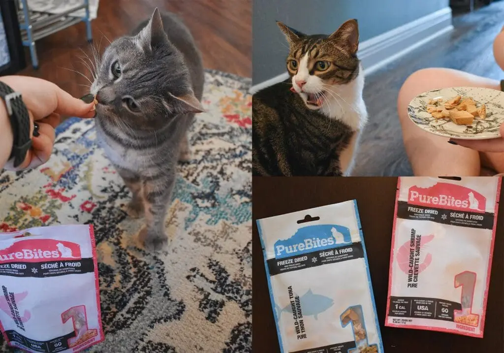 PureBites CP-min - Cats & Coffee Why My Cats Love PureBites Pet Treats