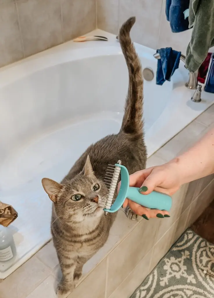 Uproot Clean Deshedder Tool Brush - Cats & Coffee Uproot Clean Deshedder Tool