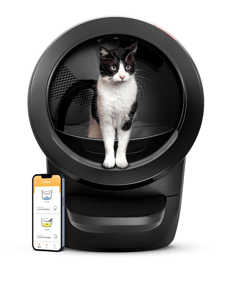 Litter-Robot 4 1 - Cats & Coffee