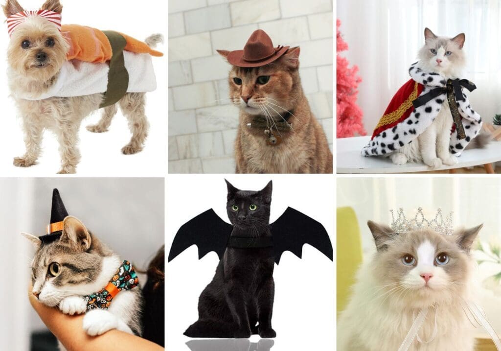 Great Pet Halloween Costumes 