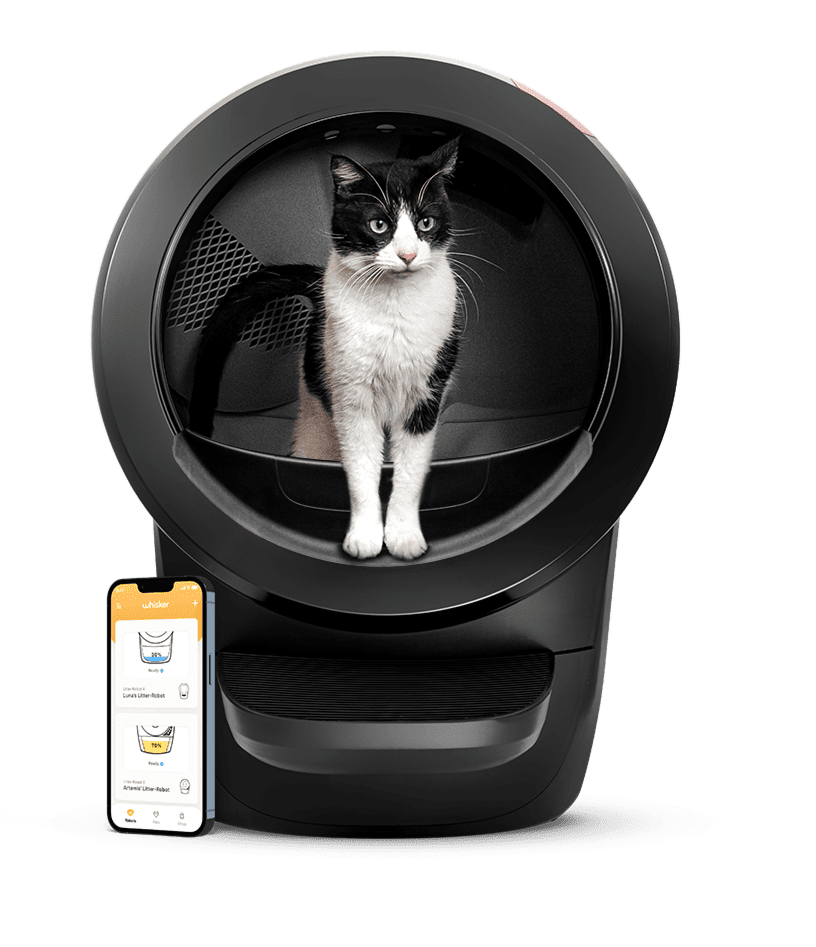 Learn more about why I love the automatic Litter-Robot for my cats and get a discount on a bundle of your own here!