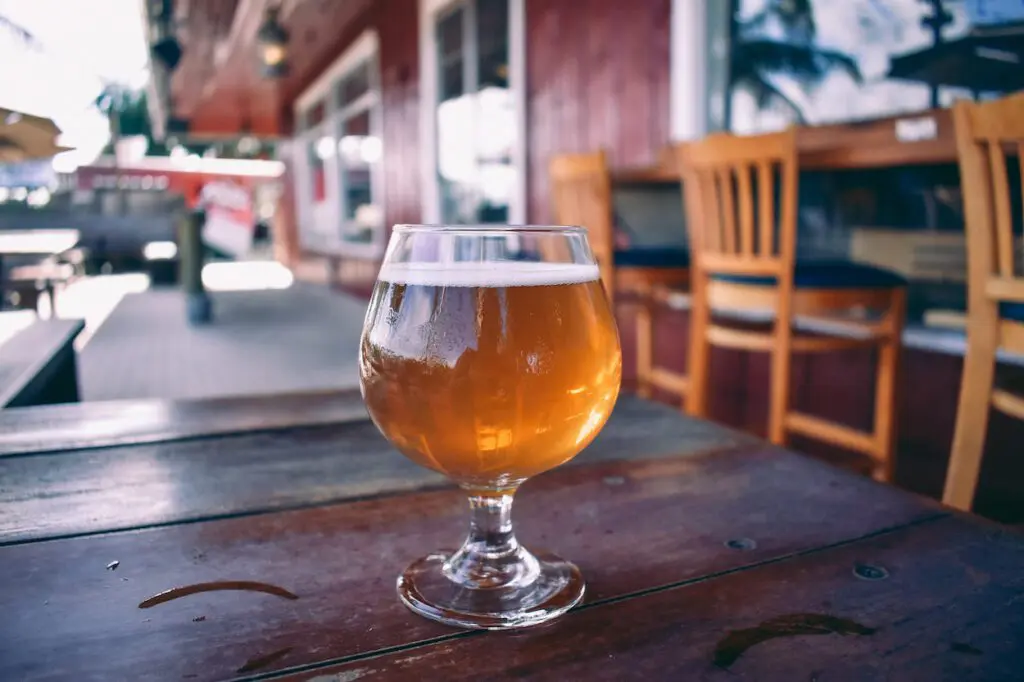 Saltwater Brewery in Delray Beach, Florida1 - Cats & Coffee Saltwater Brewery in Delray Beach, Florida