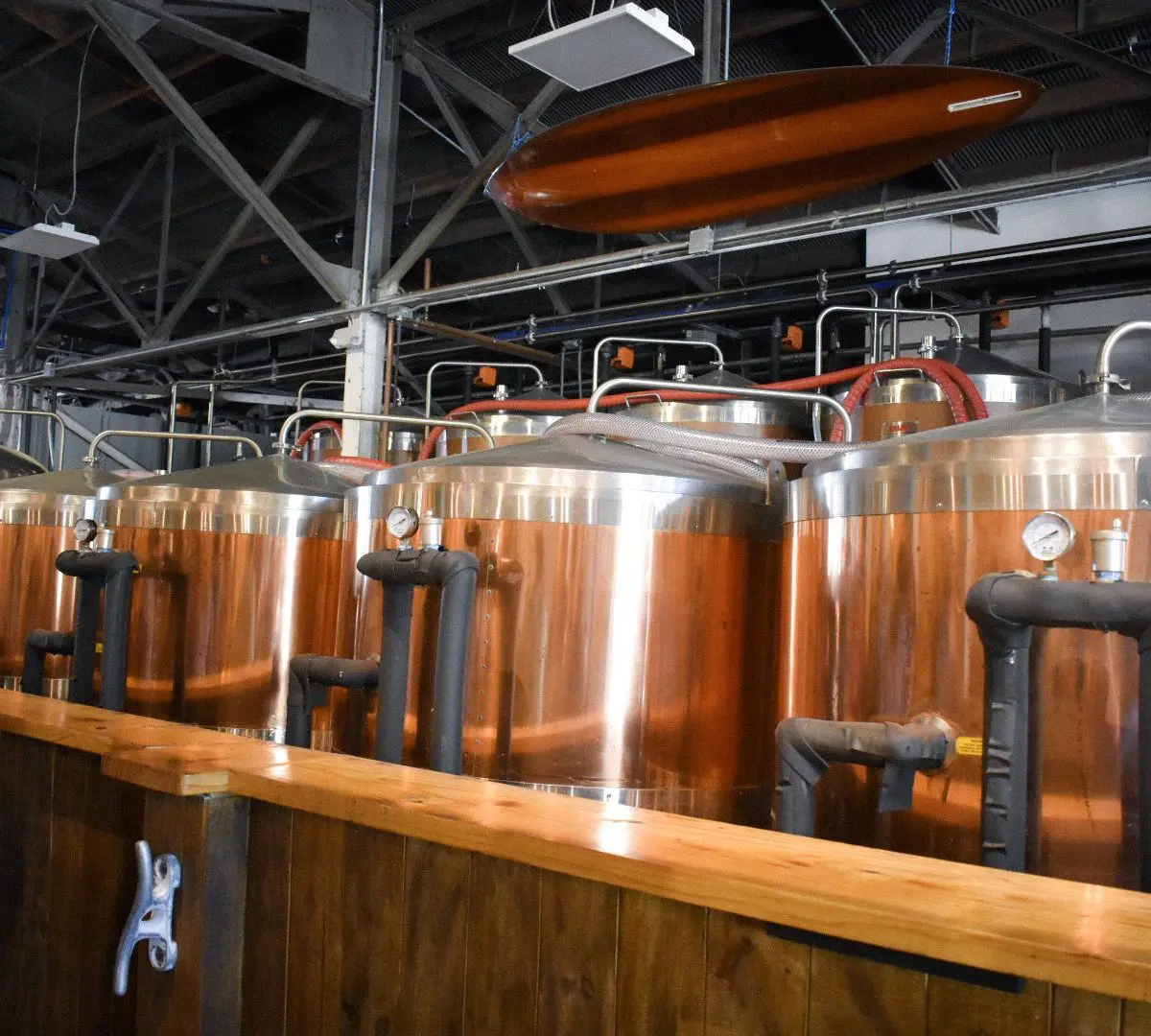Tarpon River Brewing - Cats & Coffee Tarpon River Brewing in Fort Lauderdale, FL