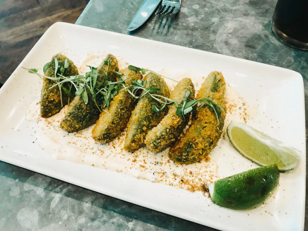 Avocado - Cats & Coffee Best Restaurants in Tampa, Florida - Tampa City Guide