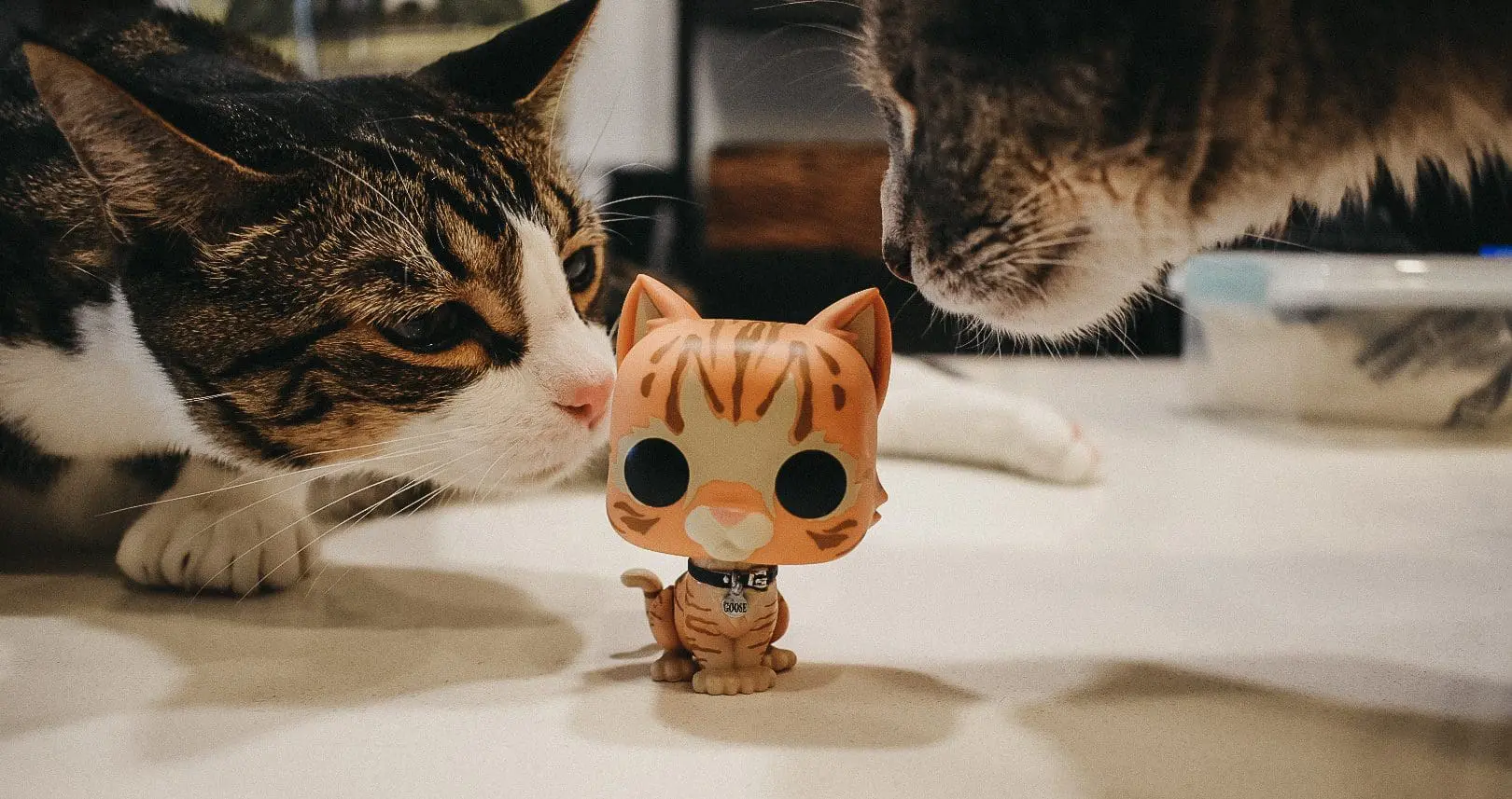 Louis, Olivia, and Goose - Cats & Coffee Christine Csencsitz's cats, Louis and Olivia, inspect Goose - Captain Marvel, the latest in the Avengers saga, lives up to the hype, thanks in part to the feminist storyline and, of course, the cat.