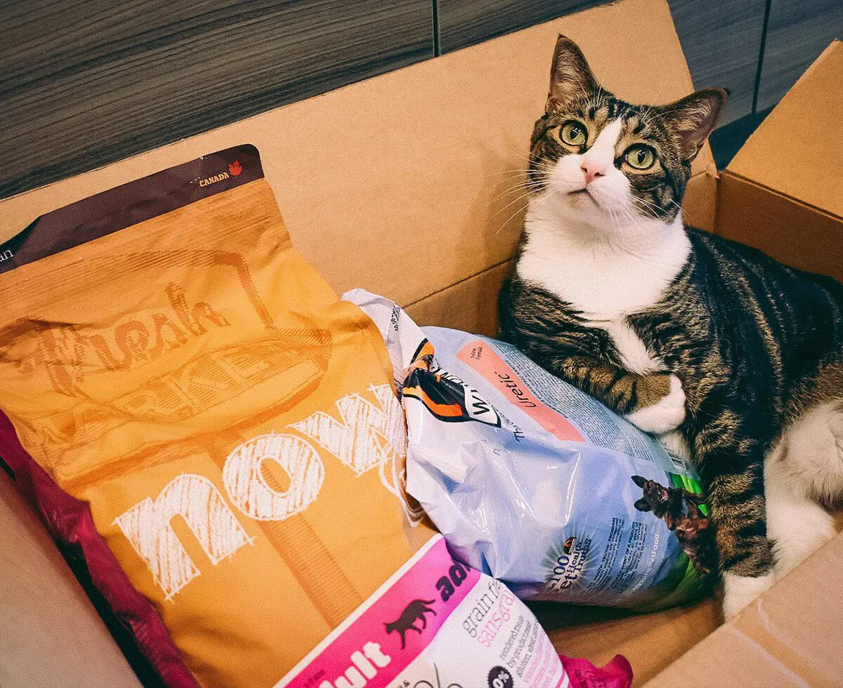 Cat Mom Life: High Quality Dry Cat Food