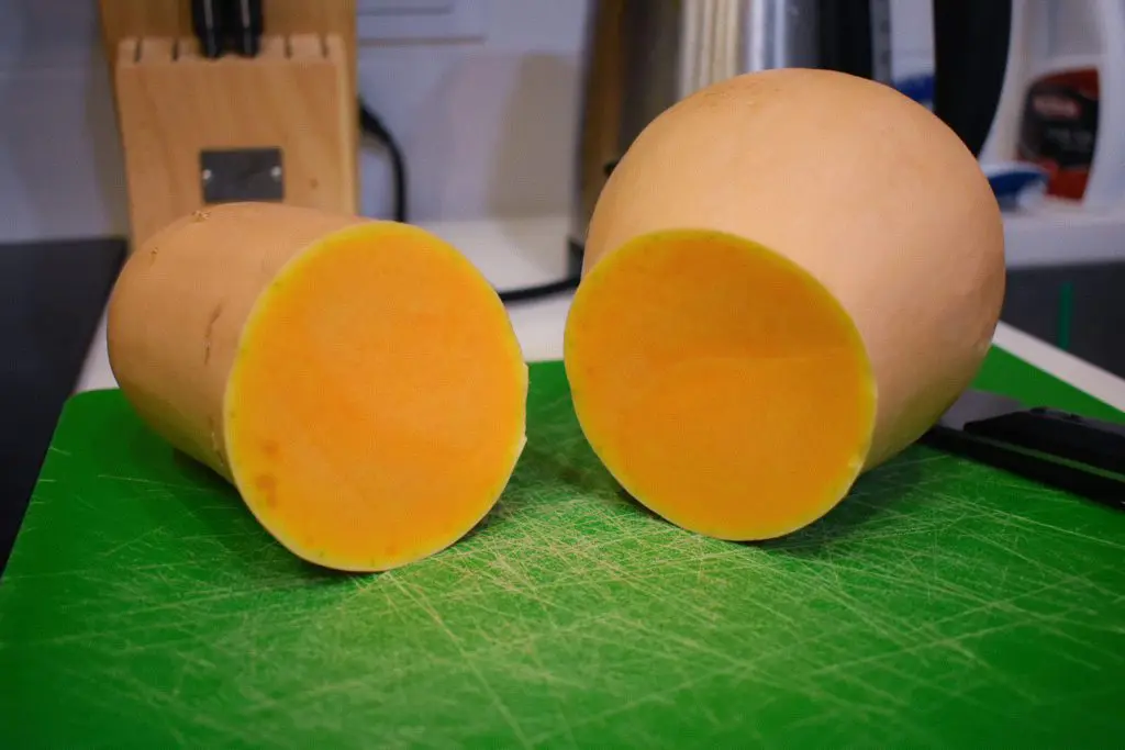 Halved Squash - Cats & Coffee