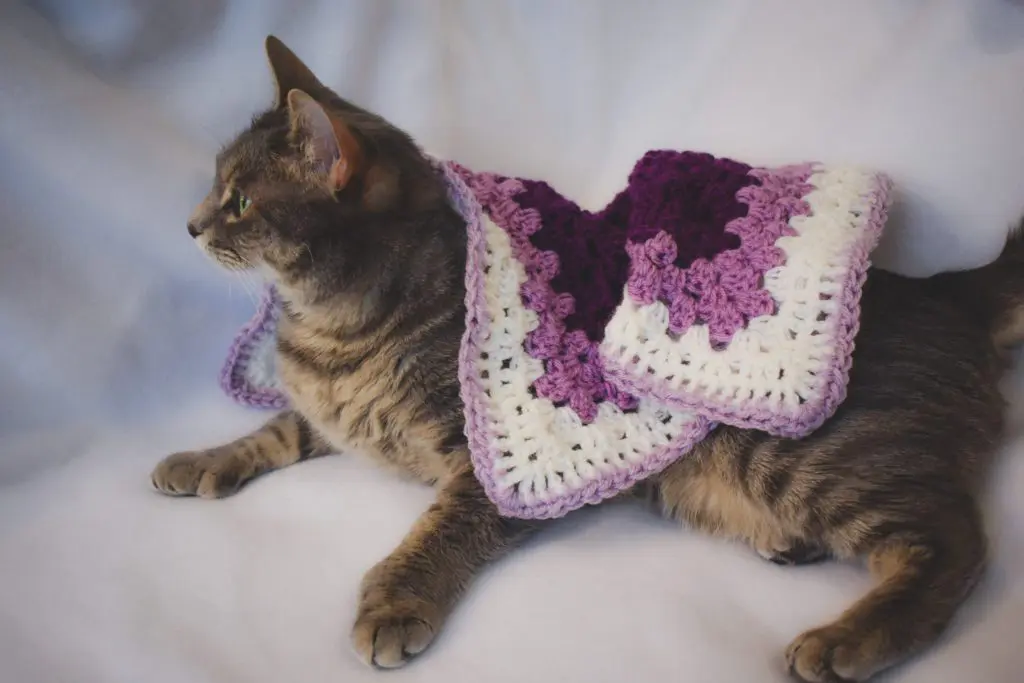 Crochet-by-Christine-Csencsitz4 - Cats & Coffee