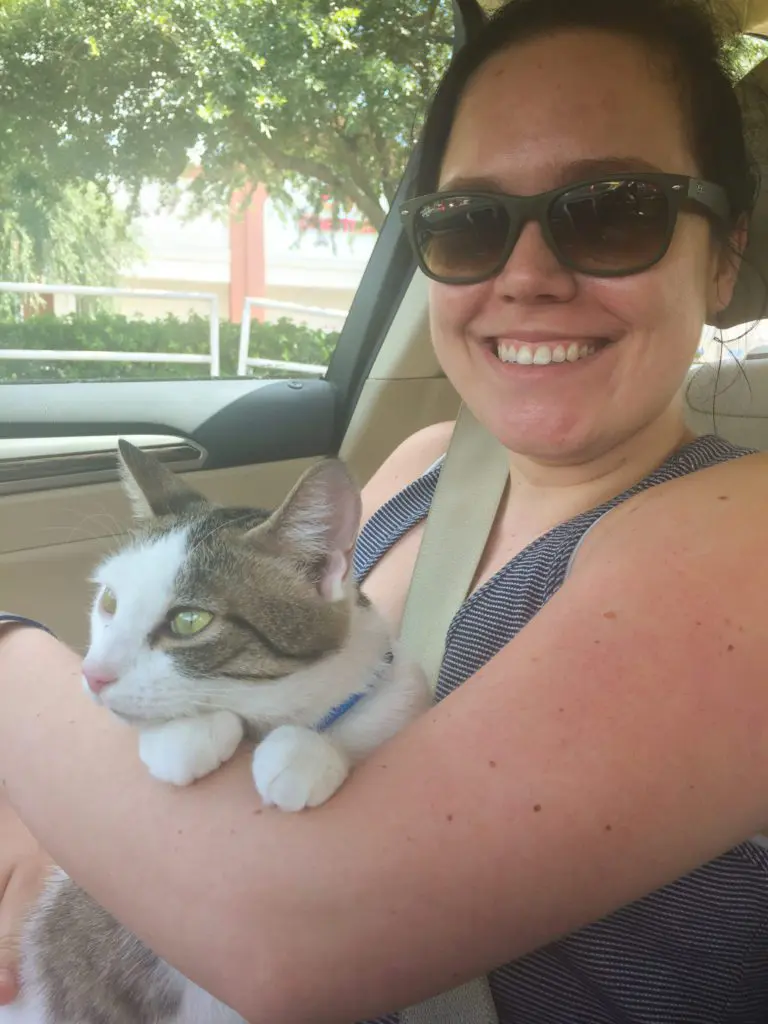 Dory & Lilly Adoption Day3 - Cats & Coffee Dory on the ride home to her furever home!
