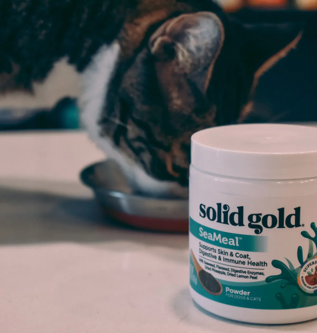 Solid Gold SeaMeal2 - Cats & Coffee Solid Gold SeaMeal Supplement