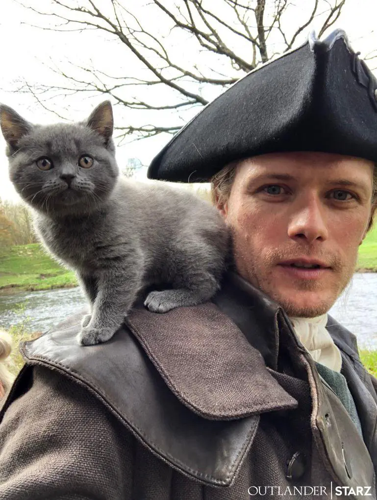 Adso-with-Sam-Heughen - Cats & Coffee Sam Heughen of Outlander with Adso, the little gray kitten