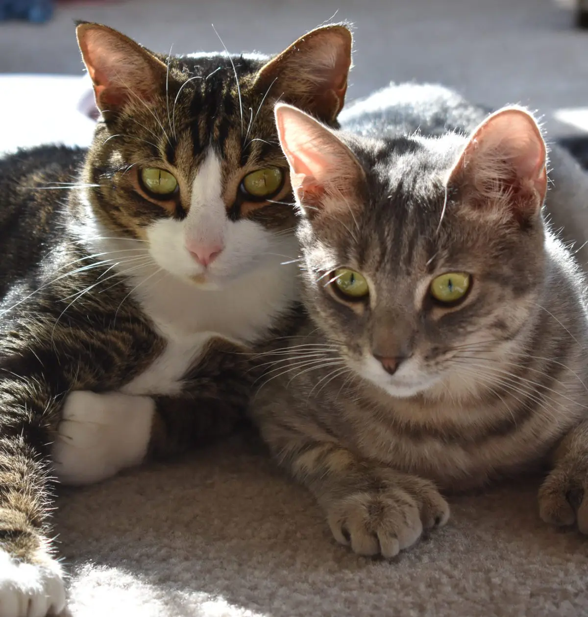 Louis and Olivia