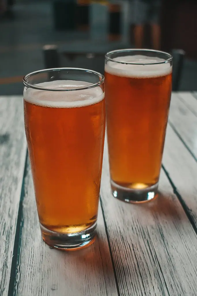 Mac-and-Cheese-Fest-at-Due-South-Brewing-in-Boynton-Beach2 - Cats & Coffee Mac and Cheese Fest at Due South Brewing in Boynton Beach -- Category 3 IPA