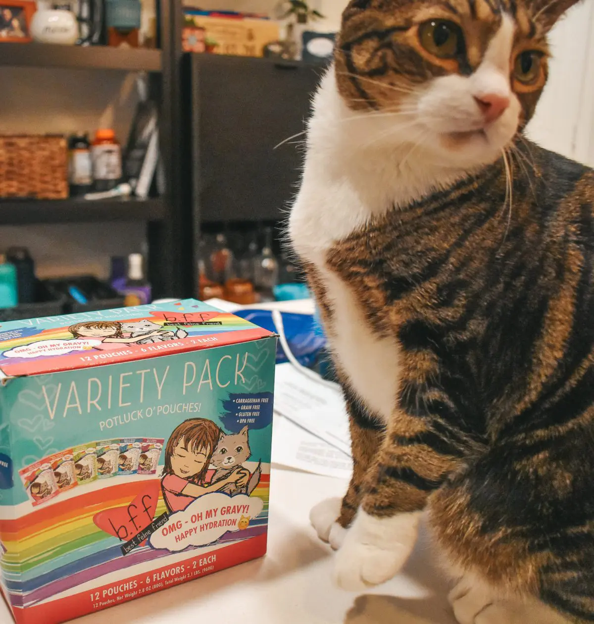 BFF-OMG-Potluck-O-Pouches-Variety-Pack2 - Cats & Coffee Cat Mom Life: Spotlight on Weruva's BFF OMG Potluck O' Pouches Variety Pack