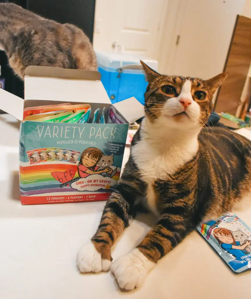 BFF-OMG-Potluck-O-Pouches-Variety-Pack4 - Cats & Coffee