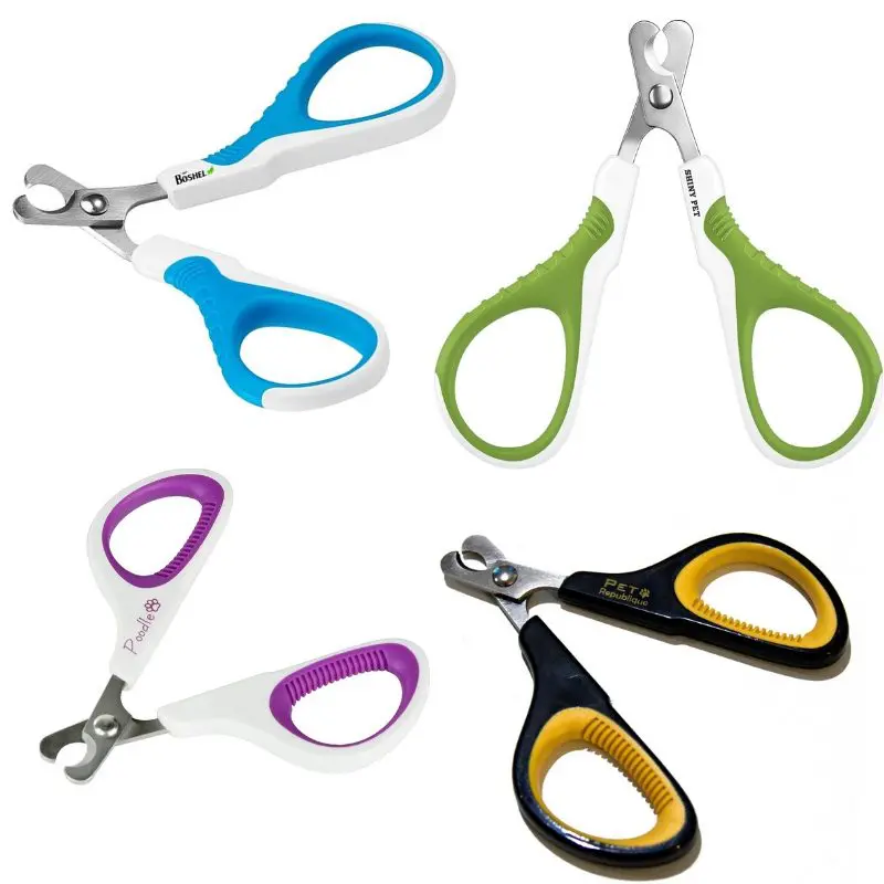Cat-Nail-Trimmers-1 - Cats & Coffee How to Cut Your Cat's Nails - nail trimmers
