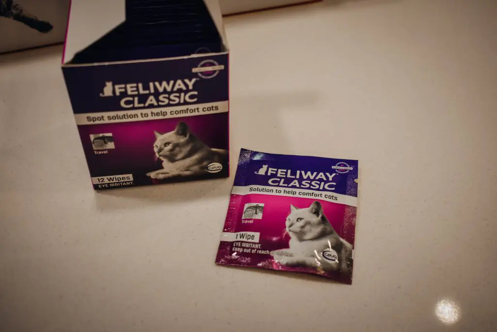 Royal-Canin-Take-Your-Cat-To-the-Vet-Campaign19 - Cats & Coffee