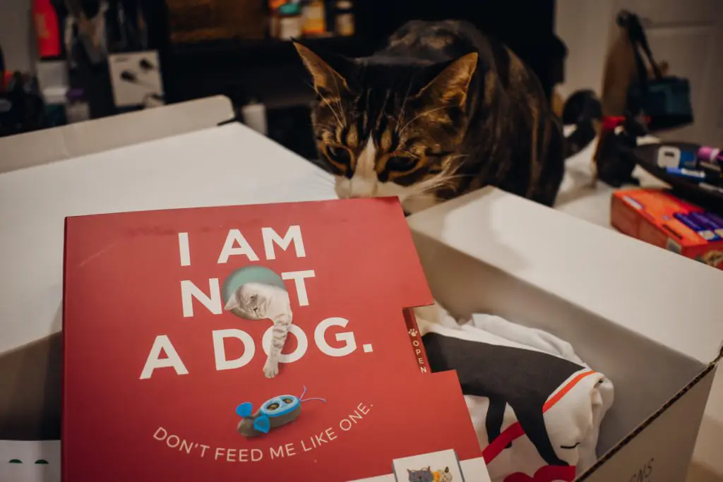 Royal-Canin-Take-Your-Cat-To-the-Vet-Campaign4 - Cats & Coffee Royal Canin's Take Your Cat to the Vet Campaign