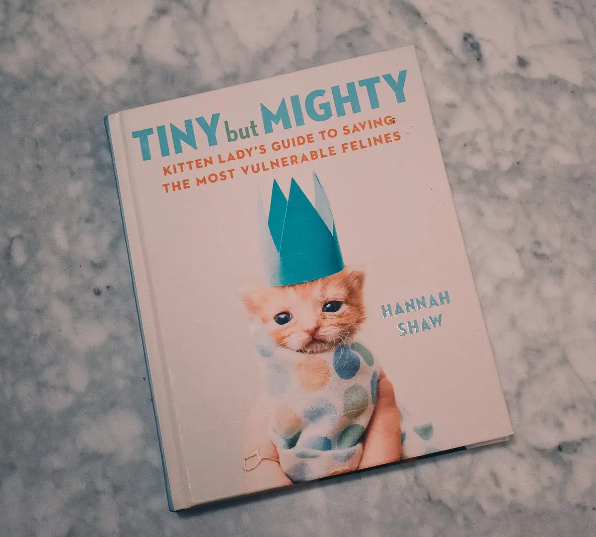 Tiny But Mighty: Kitten Lady's Guide to Saving the Most Vulnerable Felines Hardcover – photo by Christine Csencsitz