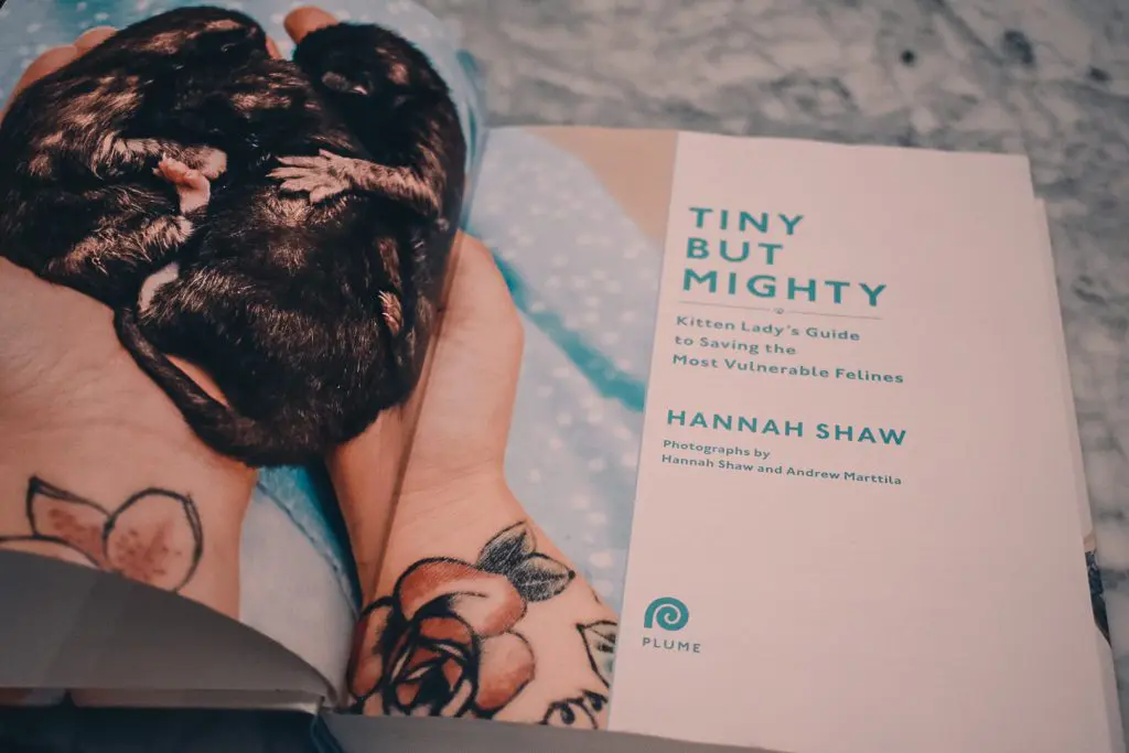 Tiny-But-Mighty-by-Hannah-Shaw-Kitten-Lady2 - Cats & Coffee Tiny But Mighty: Kitten Lady's Guide to Saving the Most Vulnerable Felines Hardcover – photo by Christine Csencsitz