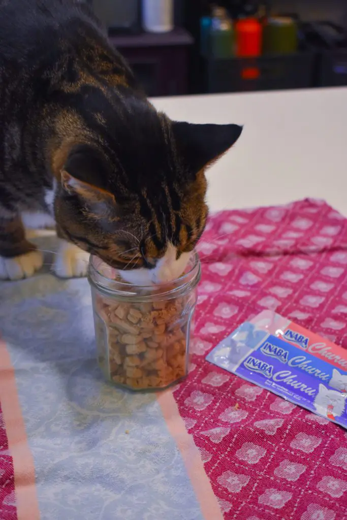 Cat-Mom-Life-The-Best-Cat-Treats-by-Christine-Csencsitz11 - Cats & Coffee Cat Mom Life - the Best cat Treats by Christine Csencsitz, featuring Louis of @kinglouisthexvii