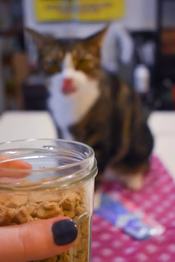 Cat-Mom-Life-The-Best-Cat-Treats-by-Christine-Csencsitz16 - Cats & Coffee Cat Mom Life - the Best cat Treats by Christine Csencsitz, featuring Louis of @kinglouisthexvii