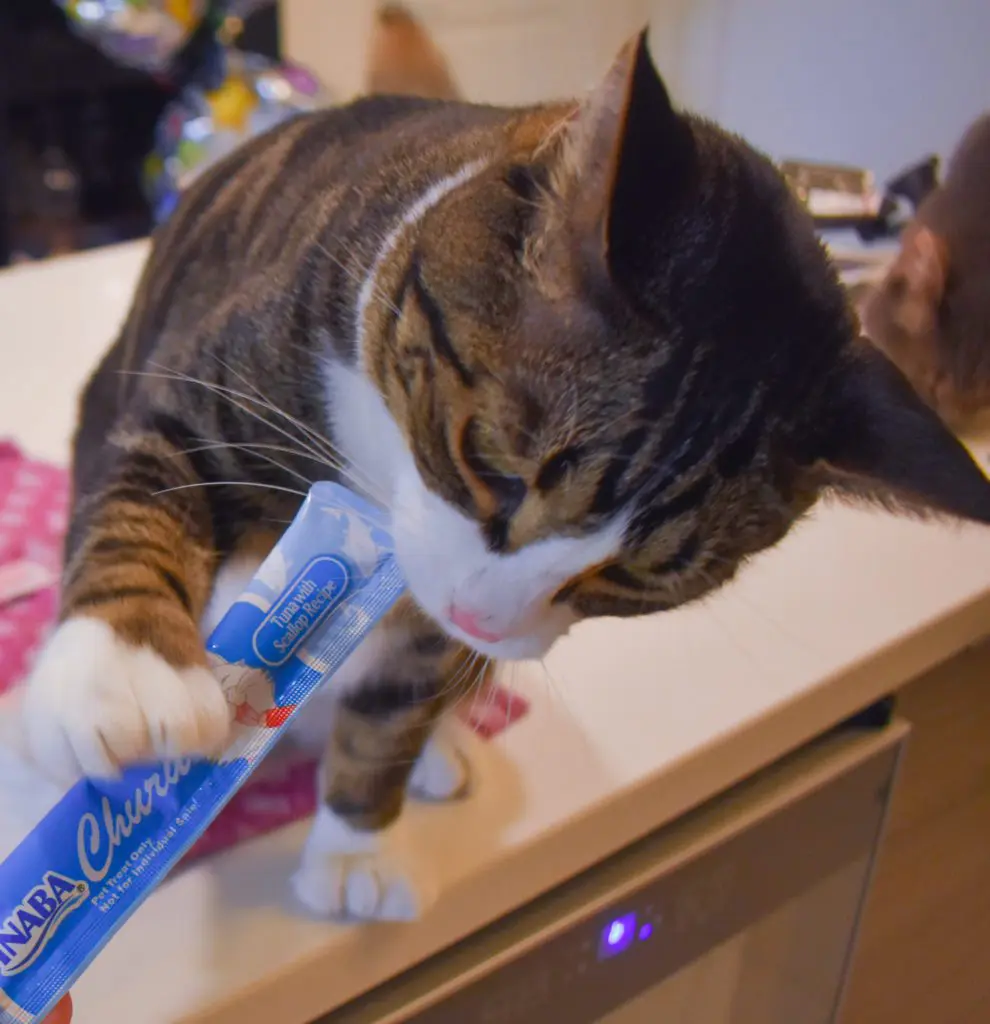 Cat-Mom-Life-The-Best-Cat-Treats-by-Christine-Csencsitz28 - Cats & Coffee Cat Mom Life - the Best cat Treats by Christine Csencsitz, featuring Louis of @kinglouisthexvii