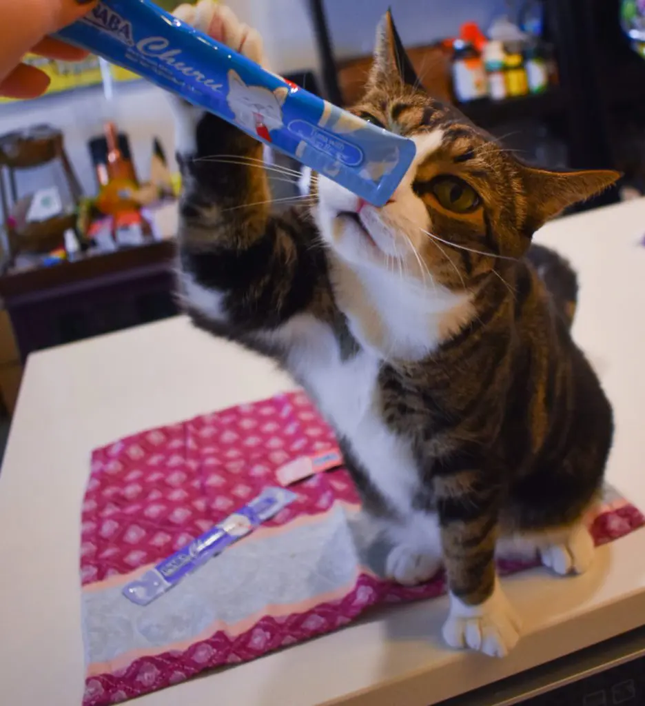 Cat-Mom-Life-The-Best-Cat-Treats-by-Christine-Csencsitz31 - Cats & Coffee Cat Mom Life - the Best cat Treats by Christine Csencsitz, featuring Louis of @kinglouisthexvii