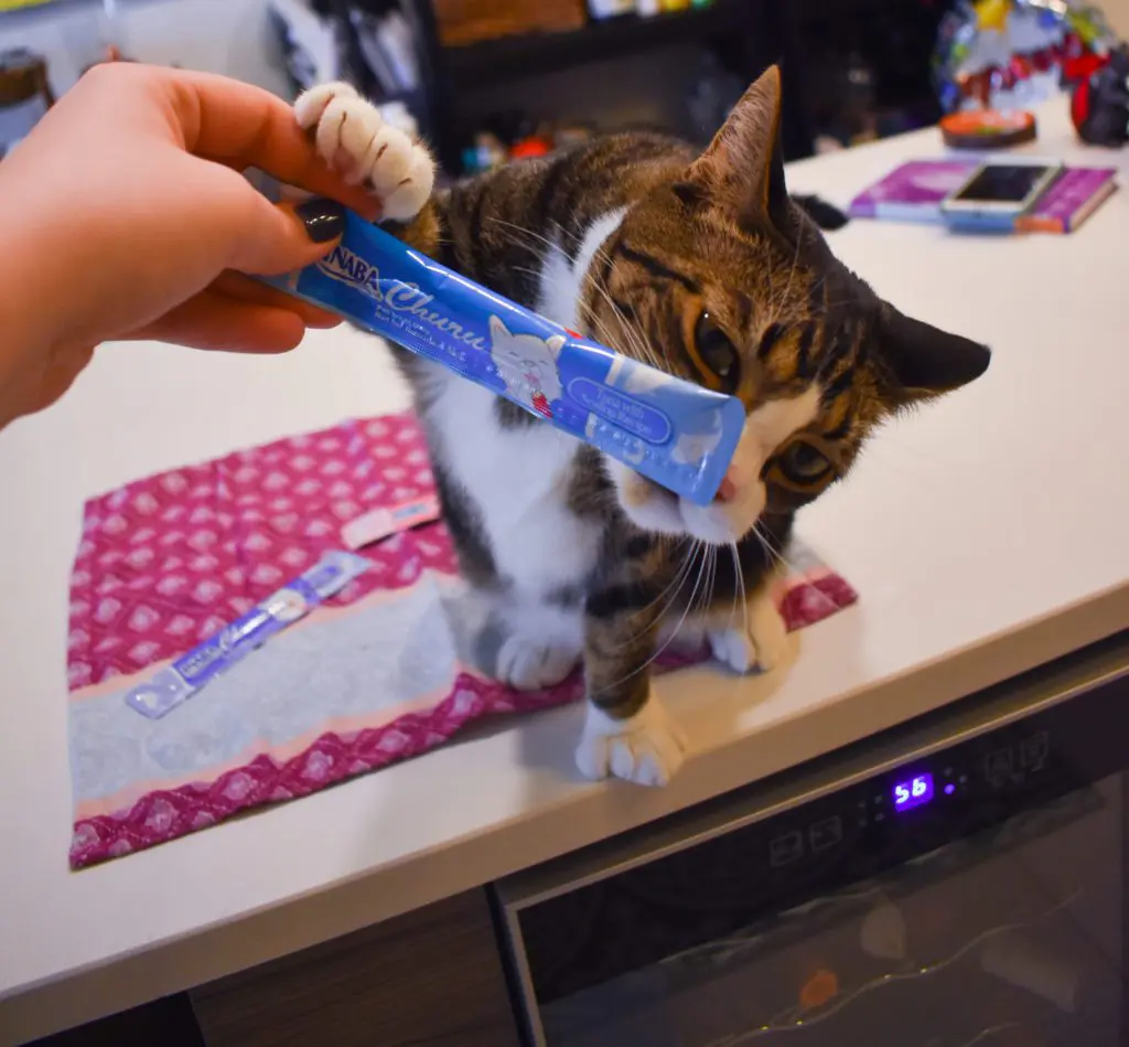 Cat-Mom-Life-The-Best-Cat-Treats-by-Christine-Csencsitz35 - Cats & Coffee Cat Mom Life - the Best cat Treats by Christine Csencsitz, featuring Louis of @kinglouisthexvii