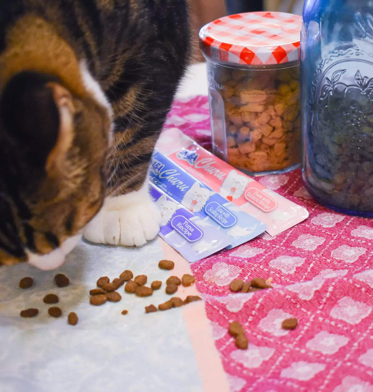 Cat Mom Life - the Best cat Treats by Christine Csencsitz, featuring Louis of @kinglouisthexvii