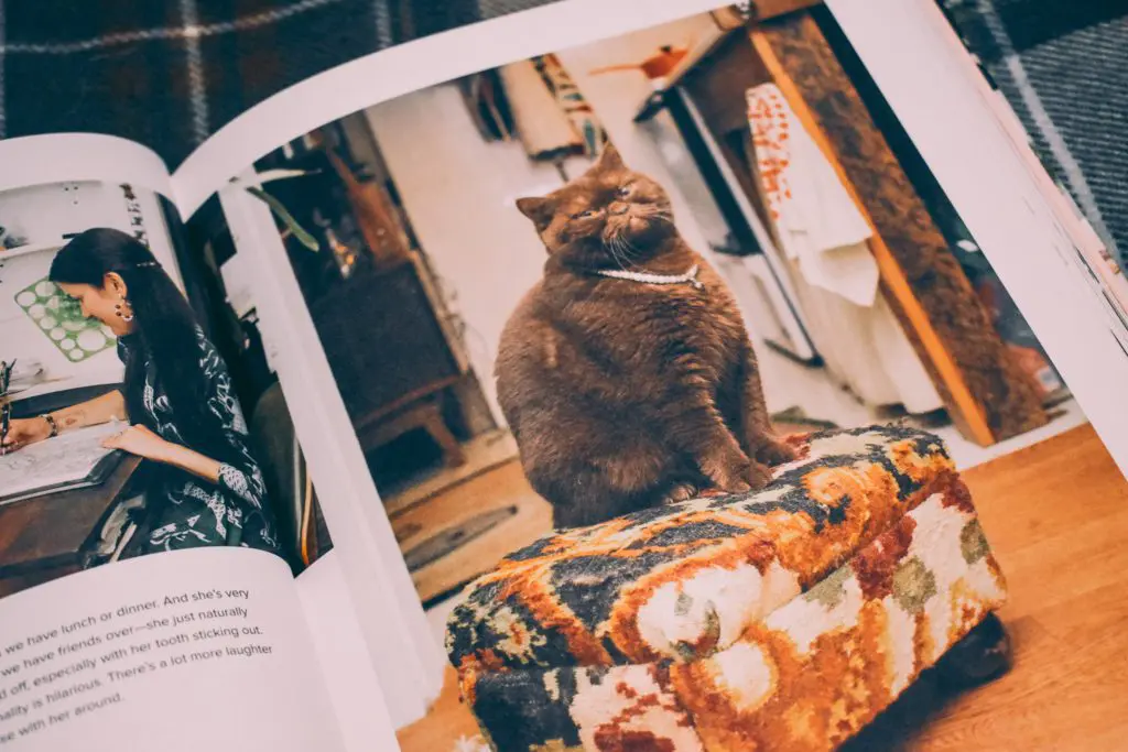 Girls-and-Their-Cats11 - Cats & Coffee Book Review: Girls and Their Cats by BriAnne Willis, book on Locharron of Scotland Royal Stewart Blue Dress Tartan, photo by Christine Csencsitz