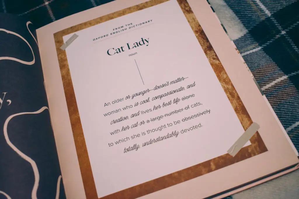 Girls-and-Their-Cats2 - Cats & Coffee Book Review: Girls and Their Cats by BriAnne Willis, book on Locharron of Scotland Royal Stewart Blue Dress Tartan, photo by Christine Csencsitz