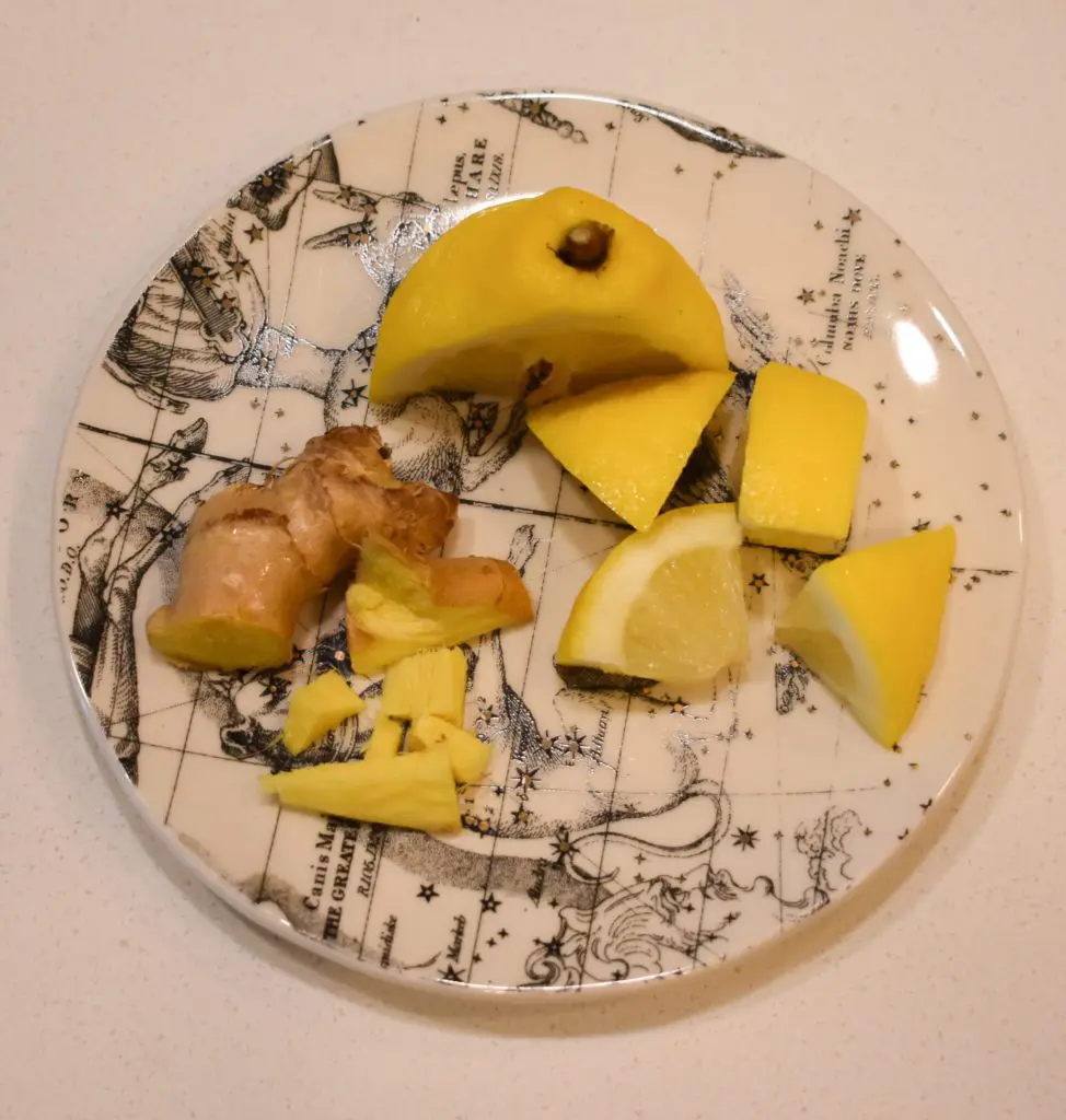 Lemon-Ginger-Tea5 - Cats & Coffee Lemon and Ginger, photo by Christine Csencsitz