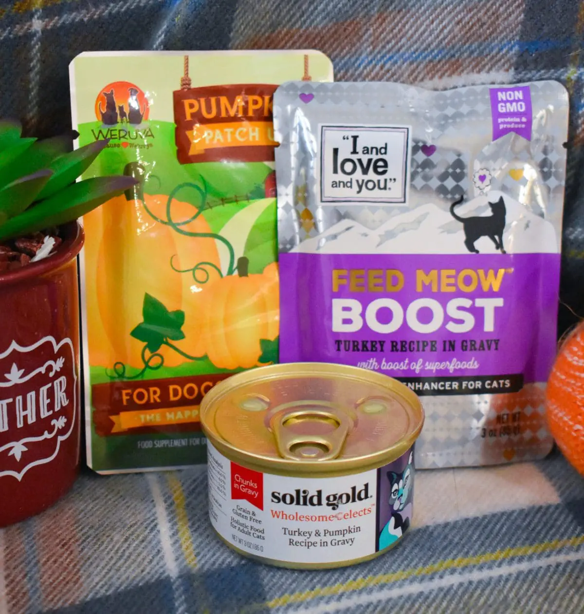 Cat Thanksgiving Dinner Ideas16 - Cats & Coffee This holiday season, when it comes to Thanksgiving dinner, don't forget about your fur babies! As obligate carnivores, cats thrive on meat. Why not bring in some Thanksgiving-themed treats and foods to make the day special for them, too? Read about three kitty-approved options to help celebrate Thanksgiving with your cat here!