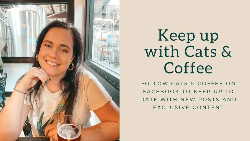 Follow-Cats-Coffee-on-Facebook-to-keep-up-to-date-with-new-posts-and-exclusive-content - Cats & Coffee