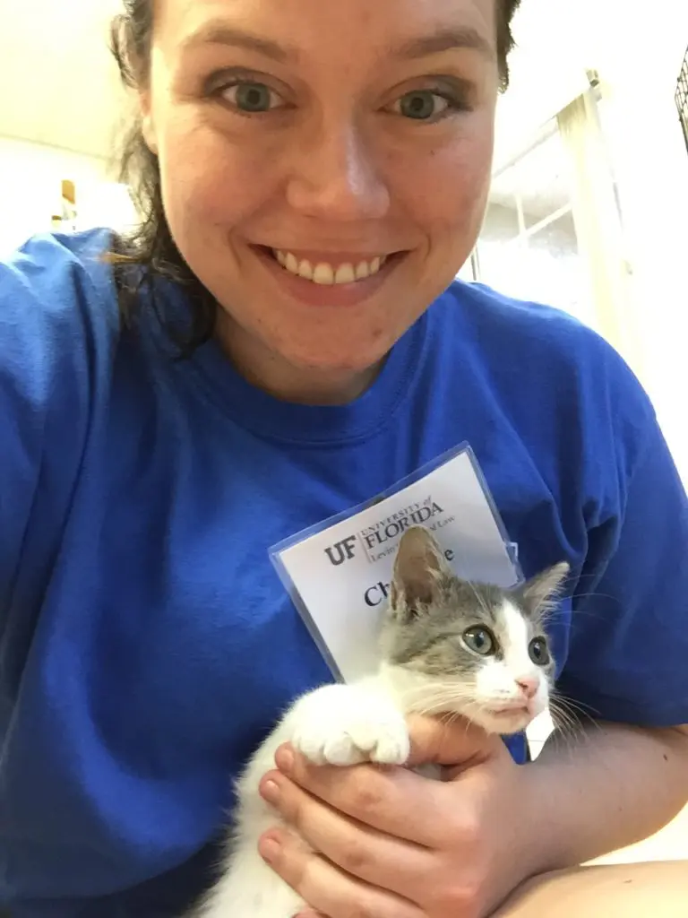 Pets-From-Florida-Animal-Rescues-I-Love-to-Support-Christine-Csencsitz7-1 - Cats & Coffee