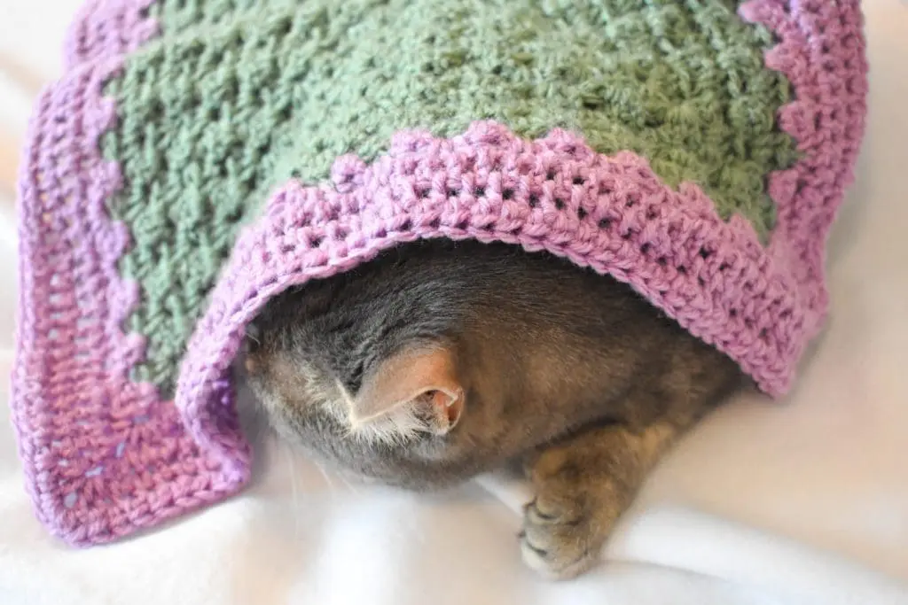Sage-and-Lavender-Cat-Mat14 - Cats & Coffee