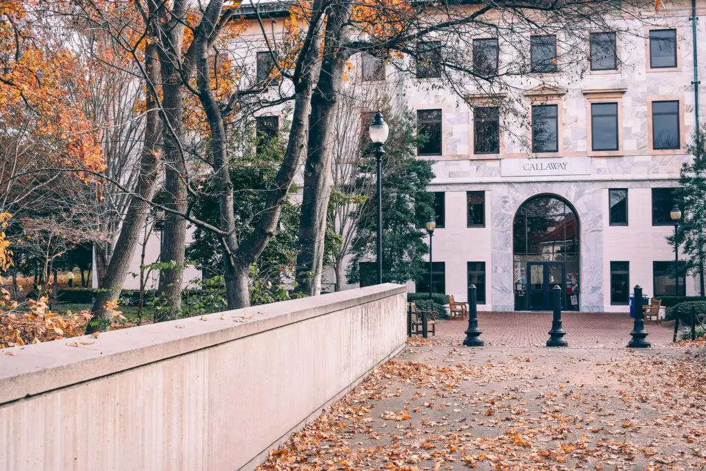 Emory-University-photo-by-Christine-Csencsitz23 - Cats & Coffee
