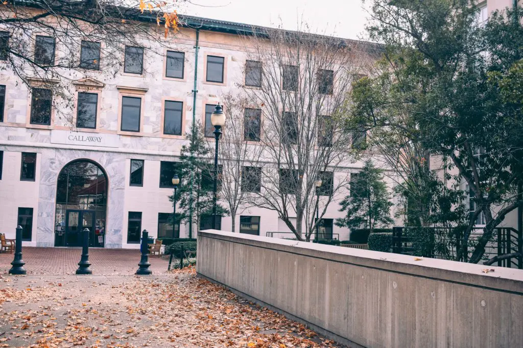 Emory-University-photo-by-Christine-Csencsitz24 - Cats & Coffee