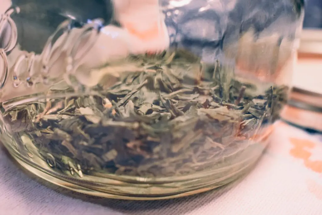 Green-Tea5 - Cats & Coffee Dry green sencha tea, photo by Christine Csencsitz