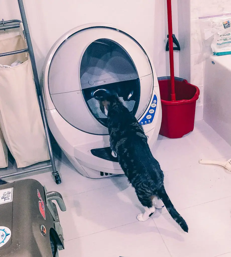 Litter-Robot-Spaceship-Litter-Box-or-Both1 - Cats & Coffee Cat Mom Life: Honest Thoughts on the Litter Robot