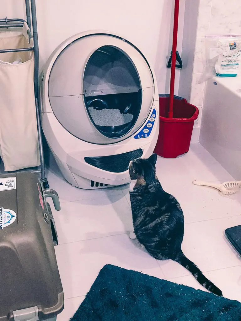 Litter-Robot-Spaceship-Litter-Box-or-Both3 - Cats & Coffee Cat Mom Life: Honest Thoughts on the Litter Robot