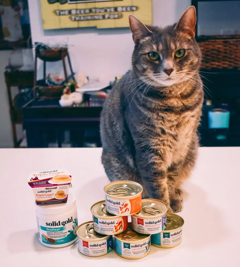 Solid-Gold-w-Cats11 - Cats & Coffee Any cat owner will tell you, cats can be pretty picky. While I've been pretty lucky in this regard with my cats, there is a difference between foods they like, and foods they love. Solid Gold has regularly been in the love category. Solid Gold sent us some awesome cat foods to try, including three completely new flavors that they've never had before. Read about what the cats thought of the recipes and why I love feeding them Solid Gold cat food here!
