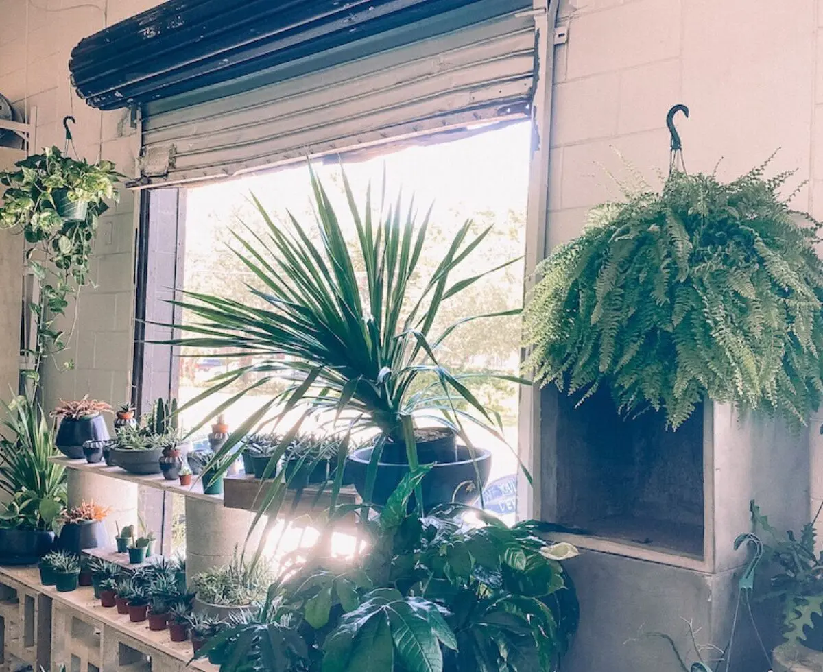 The Heavy in Winter Park, Florida: Winter Park's Happy Place